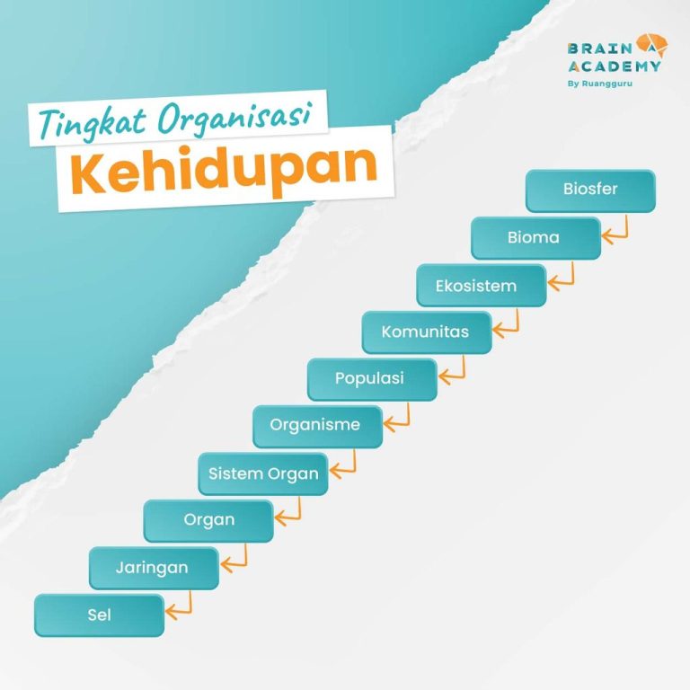 Ginjal Dipelajari Pada Organisasi Kehidupan Tingkat