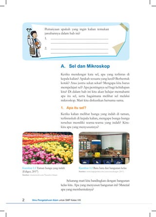 Mengapa Mikroskop Merupakan Sesuatu Yang Sangat Berguna Untuk Mempelajari Sel