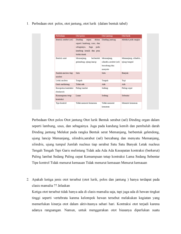 Perbedaan Otot Polos Otot Lurik Dan Otot Jantung